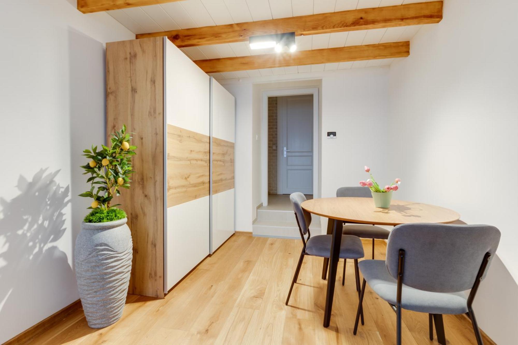 Apartament Dream Praga